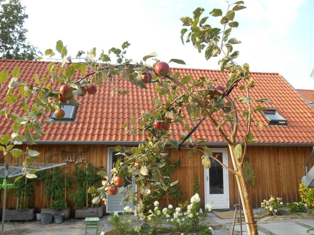Bij En Boom Bed & Breakfast Drachten Esterno foto