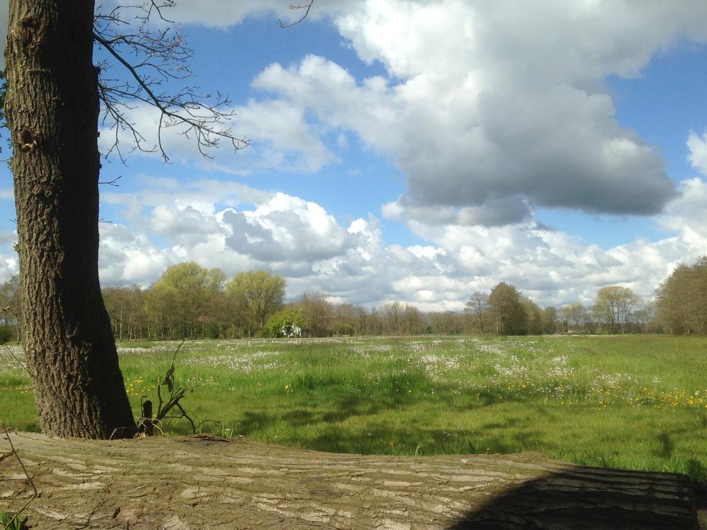 Bij En Boom Bed & Breakfast Drachten Esterno foto
