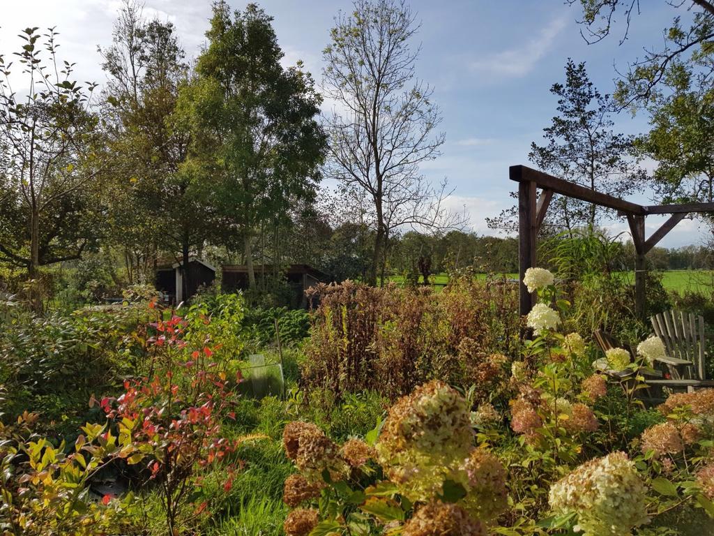 Bij En Boom Bed & Breakfast Drachten Esterno foto