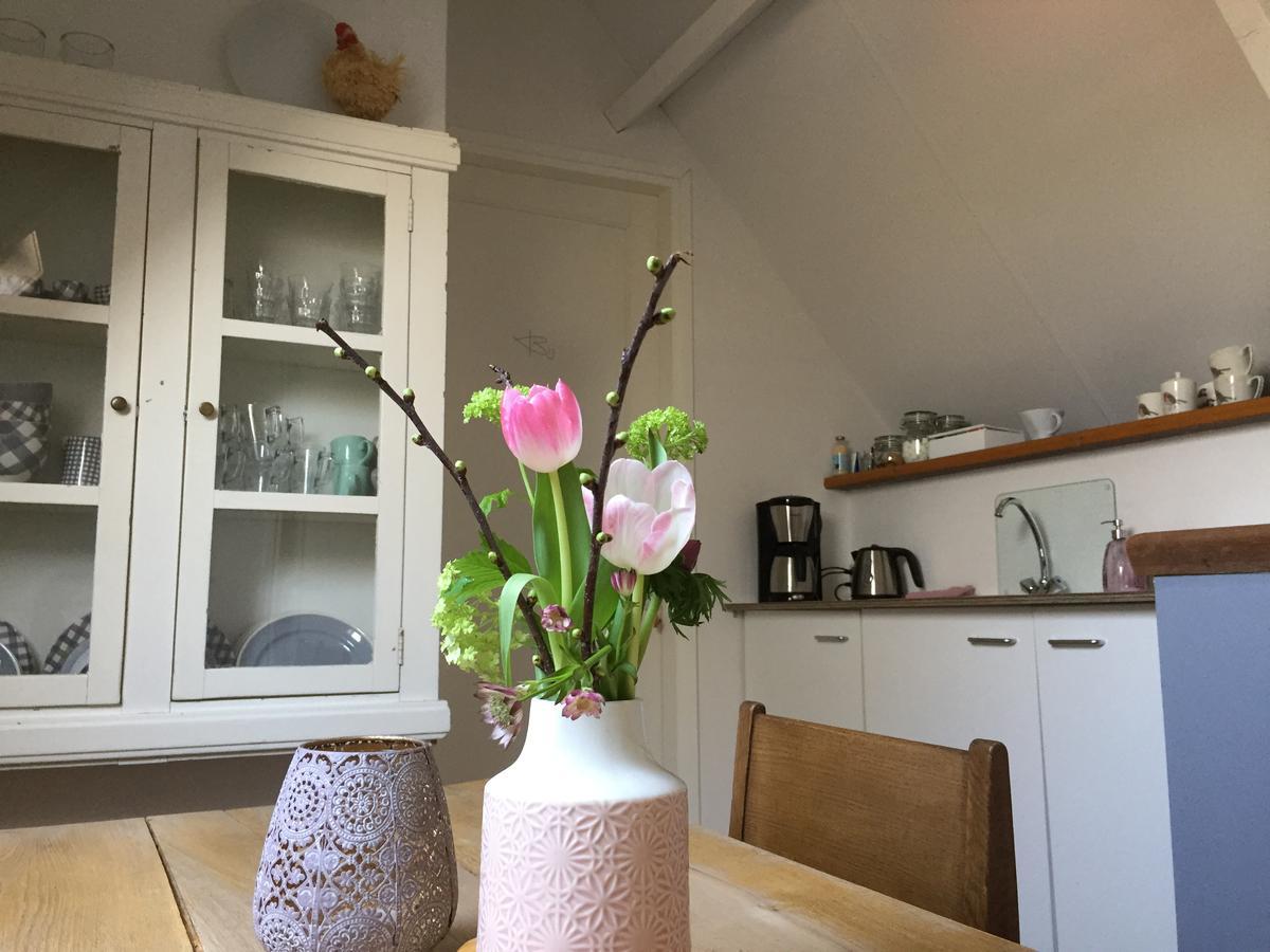 Bij En Boom Bed & Breakfast Drachten Esterno foto