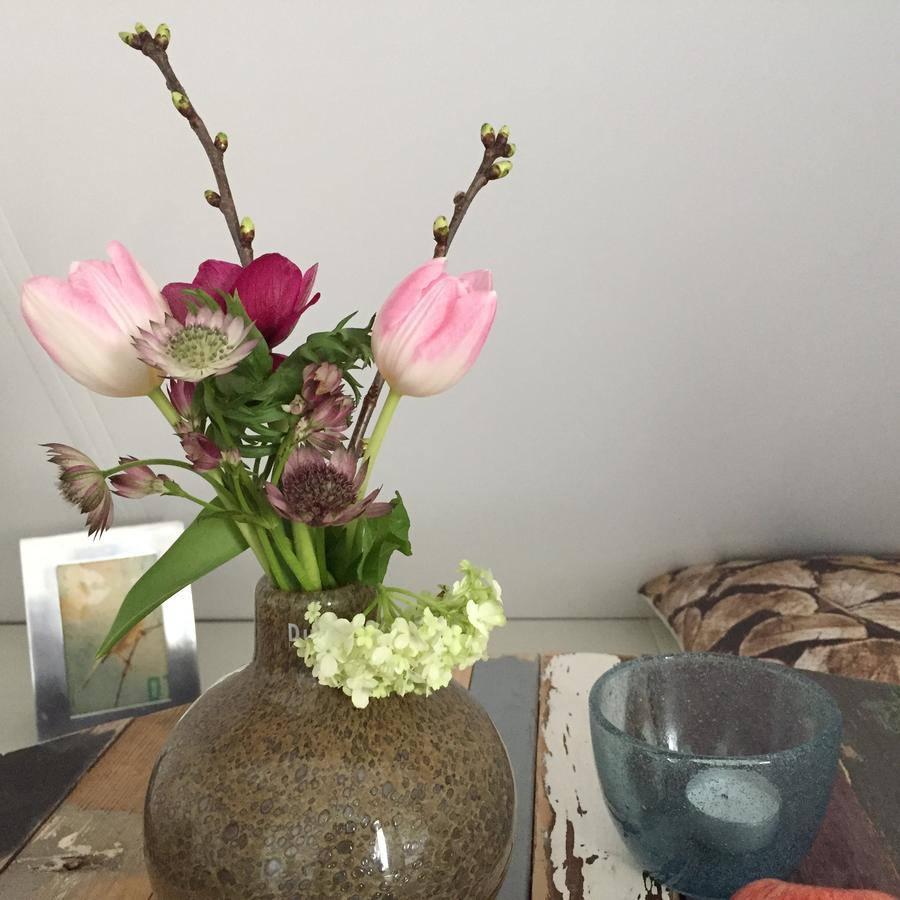 Bij En Boom Bed & Breakfast Drachten Esterno foto